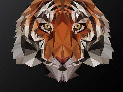 Tiger Polygonal Sketch adobe illustrator black design geomatric illustration illustration art polygon polygonal polygonal art polygonal logo tiger vector