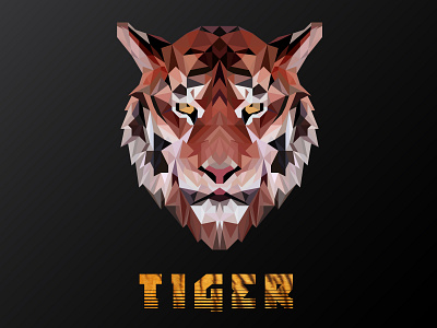 Tiger Polygonal  Sketch