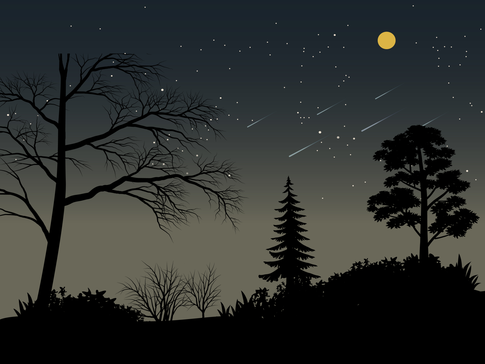 The moonlit Night || Landscape Art by Easterly Dobey on Dribbble