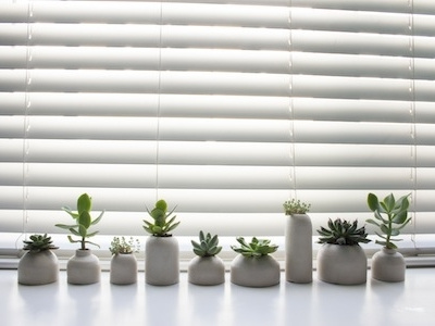 Ceramic Desktop Garden