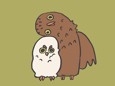 Owl Pals birds cute drawing flat colors fluffy goofy grumpy owls sketch