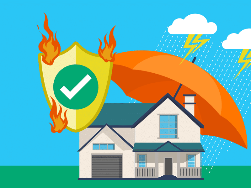 What Is Hazard Insurance? by Direct Insurance Network on Dribbble