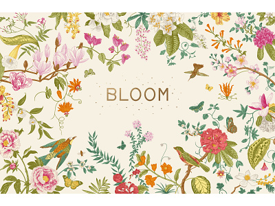 Bloom. Vintage illustration. bloom botanical card clipart colorful floral flowers illustration spring vector vintage