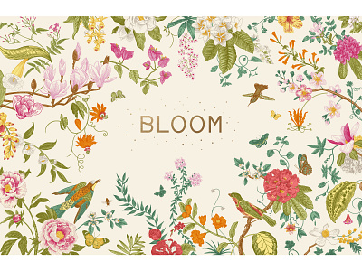 Bloom. Vintage illustration.