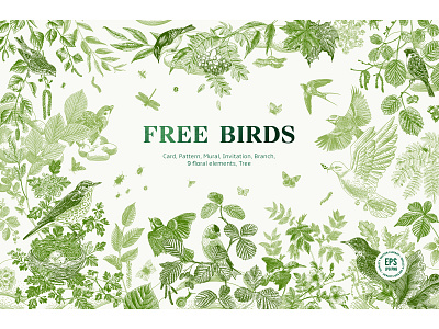 Free Birds birds botanical clipart creative market engraving garden green illustration leaves nature spring vintage