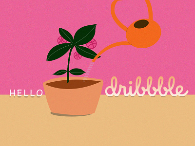 Hello Dribbble debut dribbble first shot flat hello illustration plant