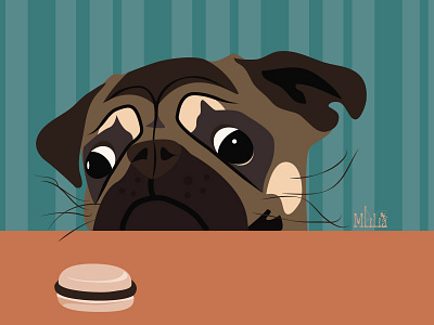 Le pug et le macaron