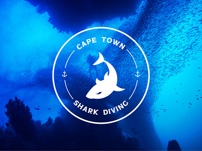 Branding – Cape Town Shark Diving blue branding design diving fish logo logotype ocean shark