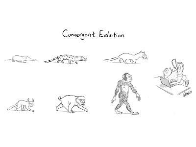 Convergent Evolution animals biology cartoon cartoon character cartoon illustration cartooning evolution nature