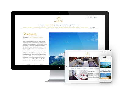 Odyssey Website clean design experience graphic interface luxury minimal service ui user ux web