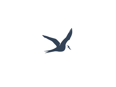 Bird Mark WIP bird branding feather fly graphic logo mark symbol wip