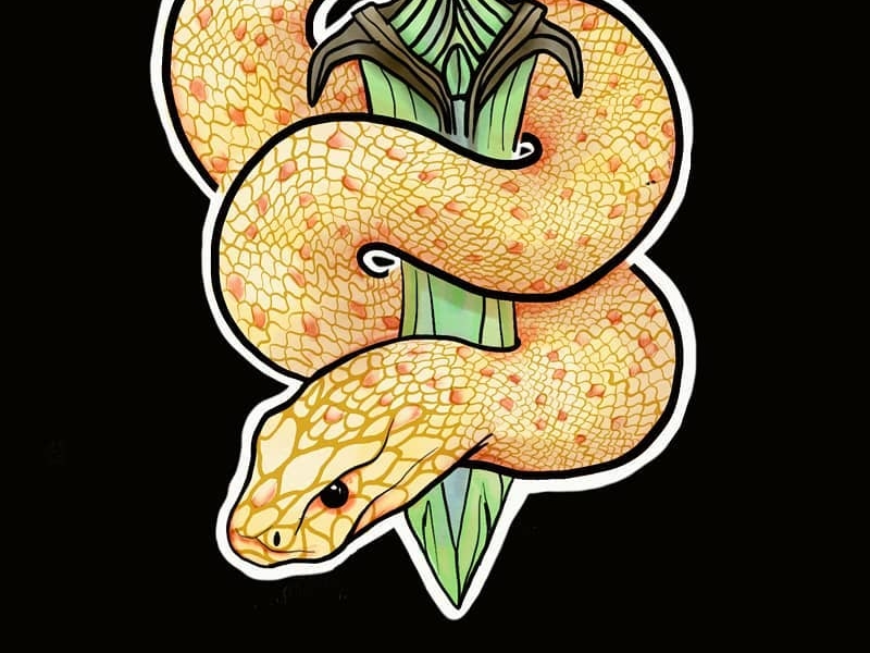 sidewinder snake drawing