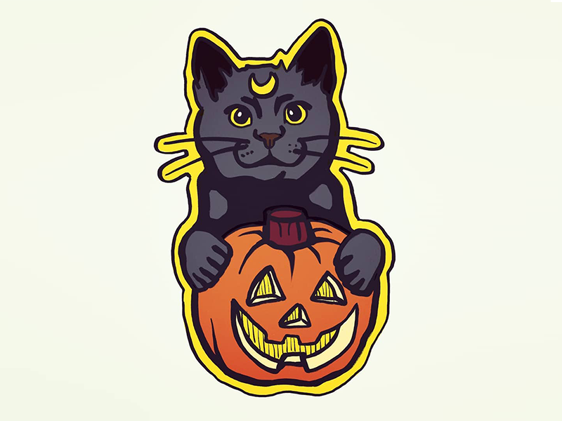 Cat Pumpkin magic witch luna sticker jackolantern illustration stickermule halloween pumpkin cat