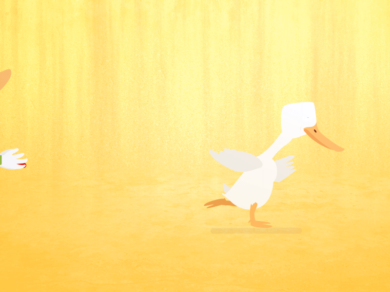 Out for a Duck 2d after effects animation batting cricket gif motion graphics run
