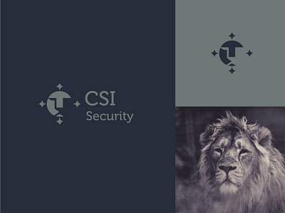 CSI Security logodesign luxury minimal security
