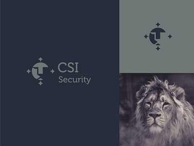CSI Security