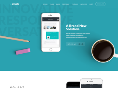 TheSimple - WP Theme - App Template