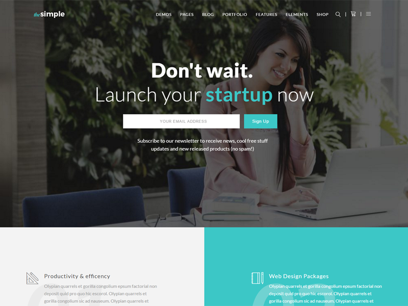 TheSimple - WP Theme - Startup Template ui web design wordpress theme startup themes wordpress
