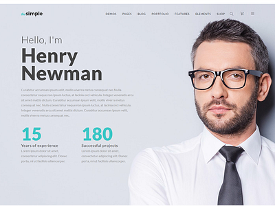 TheSimple - WP Theme - Freelance Template