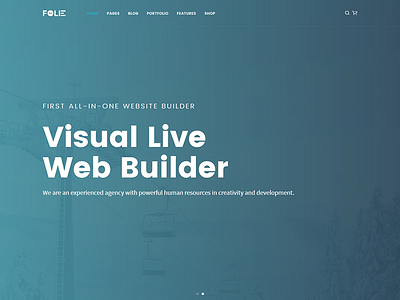 Visual Live Web Builder web builder website wordpress wordpress theme
