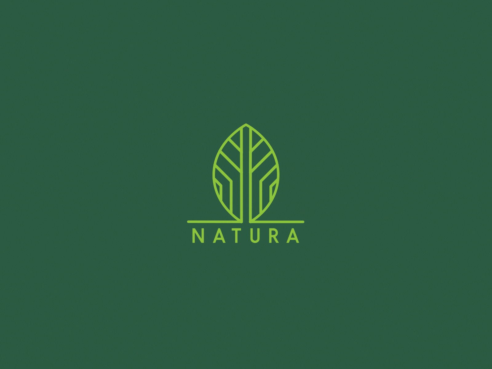 Natura Green Logo aftereffects animation flat logo smooth