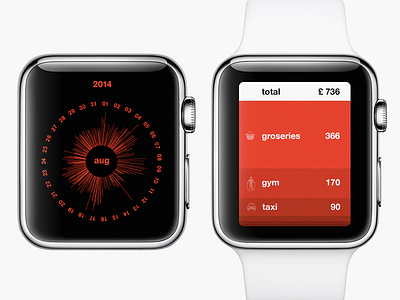 My Money Diary app app apple watch infographics interface money stat tracking ui