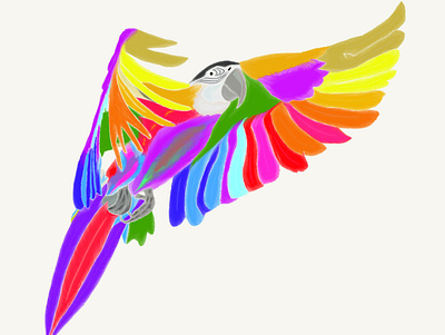 Colourful Parrot bird colorful colourful colourful bird parrot rainbow rainbow parrot