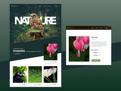 Nature Photography Website Design ecommerce naturewebsite photography website uidesign uxdesign website