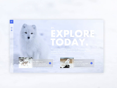 ❄️ Explore Today ❄️ animal blue blue and white color design flake fox minimal neutral snow snowflake ui web web design white