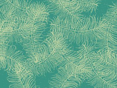 Palm Leaf green handdrawn illustration nature palm palm leaf pattern plant texture