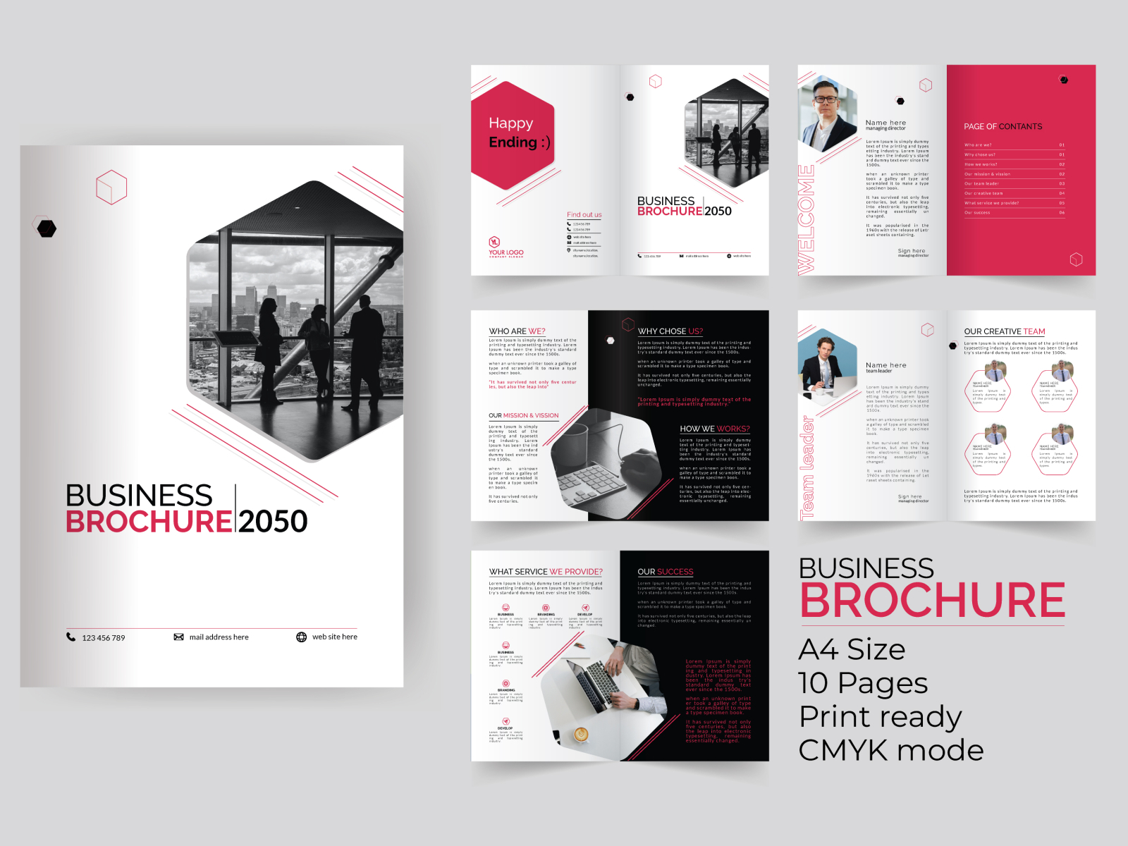 Business Brochure Design By Shafayat Alam On Dribbble