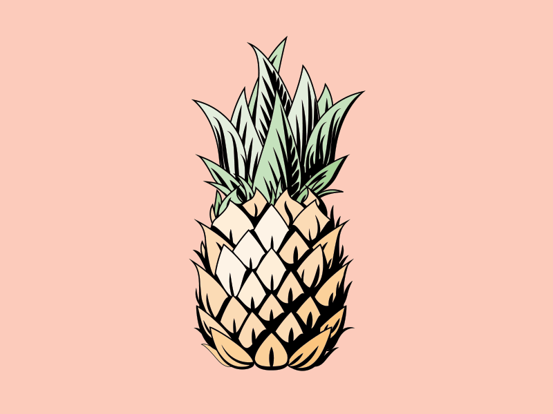 Pineapple Process draw gif illustration pineapple process summer tropical wip
