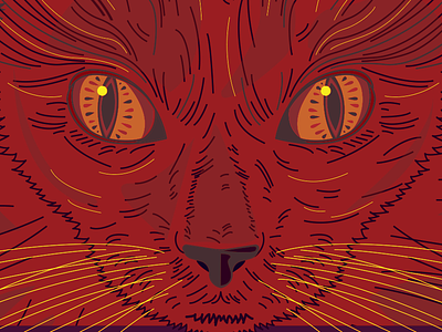 Kitty cat cat kitten cateye draw eyes illustration illustrator meow red vector vector art