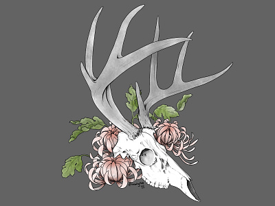 Deer Skull & Chrysanthemums chrysanthemum deer skull floral flowers illustration macabre skulls