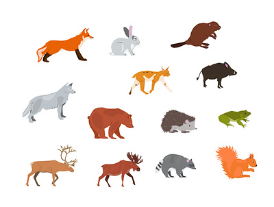 Animals animals cartoon forest game illustration planets portrait vector vector illustration
