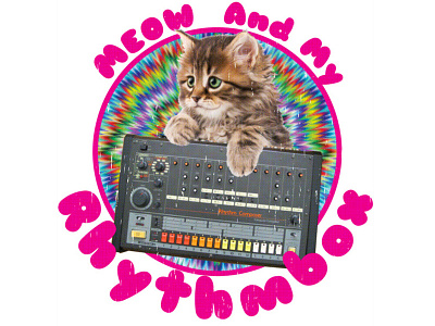 Meow and my Rhythmbox analog cat drum machine meow music