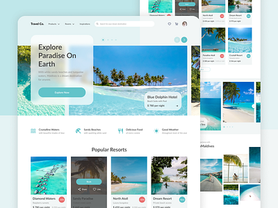 Travel Website Design