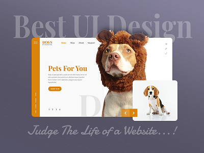 Best UI Design judge the life of a website