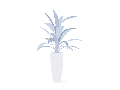 Pot plant after effects animation design illustration motion graphics plant pot plant vector