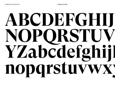Type exploration elegant luxury luxury website minimal modern premium typeface typography uiux design website