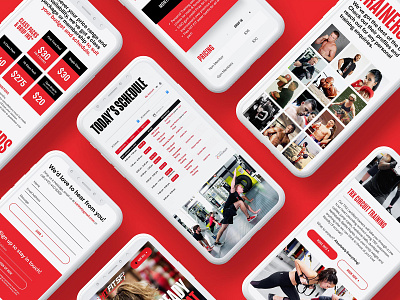 HitFitSF Gym Responsive Website