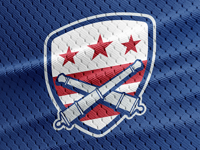 DC Defenders Logo brand cannon crest dc dc defenders defenders flag football logo shield sports xfl