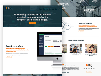 Udig home consulting ui ux design web web design website