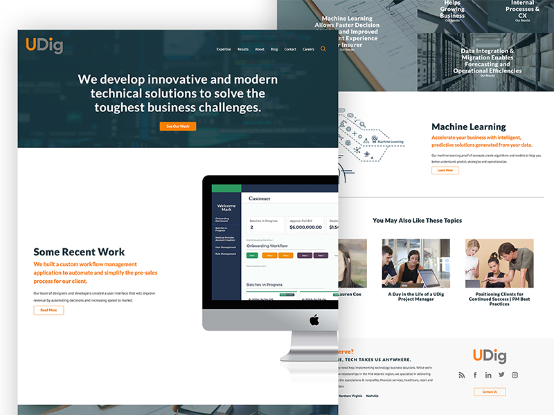 Udig home consulting ui ux design web design website web