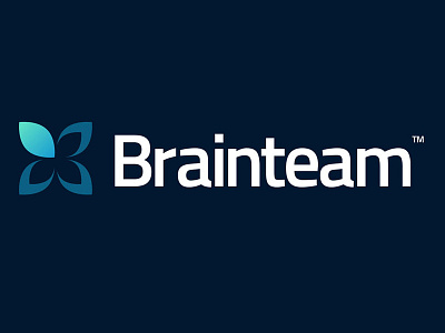 Brainteam Logo