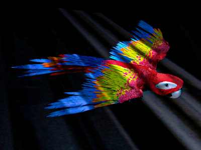 parrot 3d arnold c4d design fiverr freelance graphic design illustration motion design paripha parrot