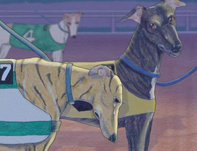 Greyhound Illustration dogs greyhounds illustration photoshop