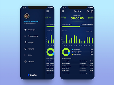BlueJay - Dashboard and Menu app chart dashboard dashboard ui finance iphone light menu overview