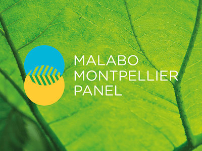 Logo Design: Malabo Montpellier Panel agriculture blue brand design branding green logo logo design nature yellow