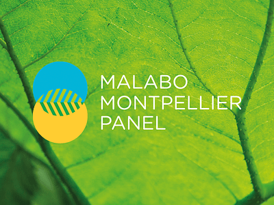 Logo Design: Malabo Montpellier Panel